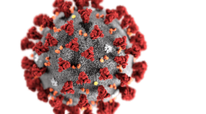 Coronavirus COVID 19 : Quelques informations et réponses