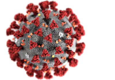 Coronavirus COVID 19 : Quelques informations et réponses
