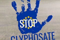 Le   renouvellement de l’autorisation du glyphosate pour 10 ans  par la Commission européenne : une décision criminelle !