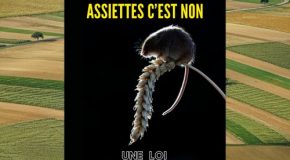 Duplomb dans vos assiettes c’est non : une loi destructrice et rétrograde