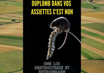 Duplomb dans vos assiettes c’est non : une loi destructrice et rétrograde